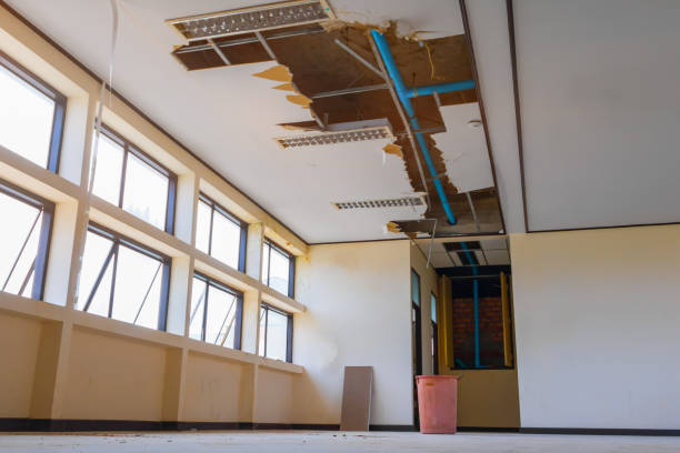 Best Commercial water damage restoration  in Nutter Fort, WV