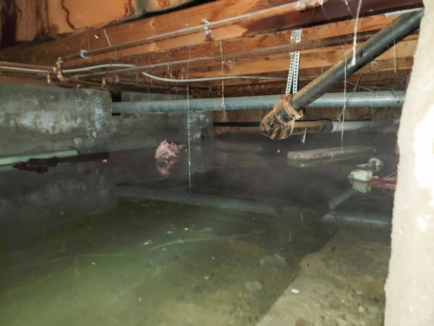 Trusted WV Water damage restoration Experts