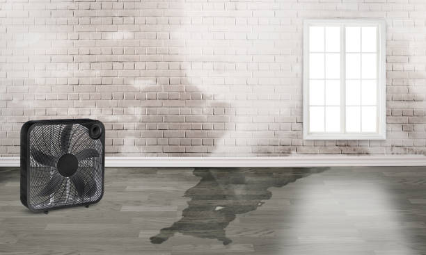 Best Residential water damage restoration  in Nutter Fort, WV