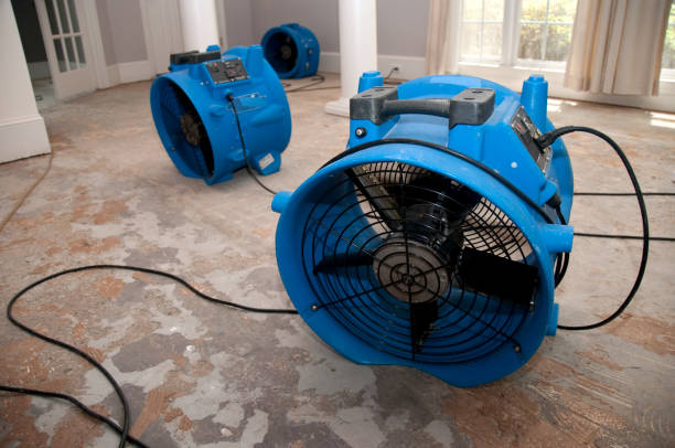Best 24-hour water damage restoration  in Nutter Fort, WV