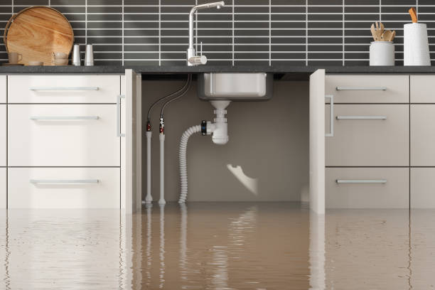 Best Local water damage restoration  in Nutter Fort, WV