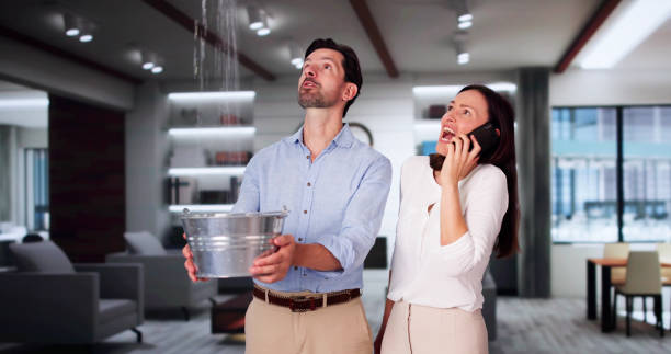 Best Basement water damage restoration  in Nutter Fort, WV