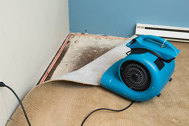 Best Flood restoration services  in Nutter Fort, WV